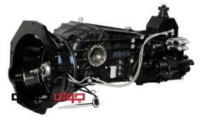 SSC-tuatara (6)