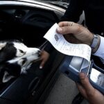 جریمه حمل حیوانات در خودرو چقدر است؟