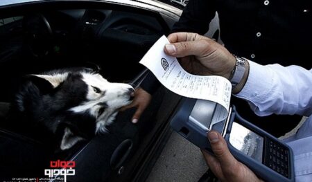 جریمه حمل سگ در خودرو